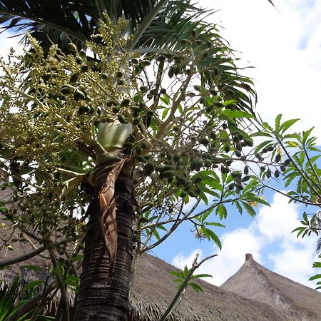 Mushroom Garden Villas Nusa Lembongan  Bagian luar foto